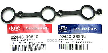 2244339810 HYUNDAI-KIA   