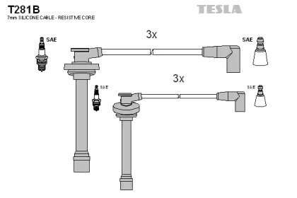 T281B TESLA   