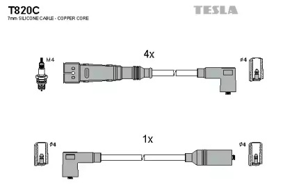 T820C TESLA  