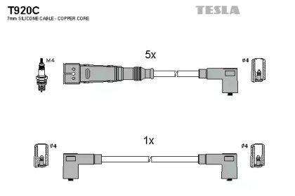 T920C TESLA  